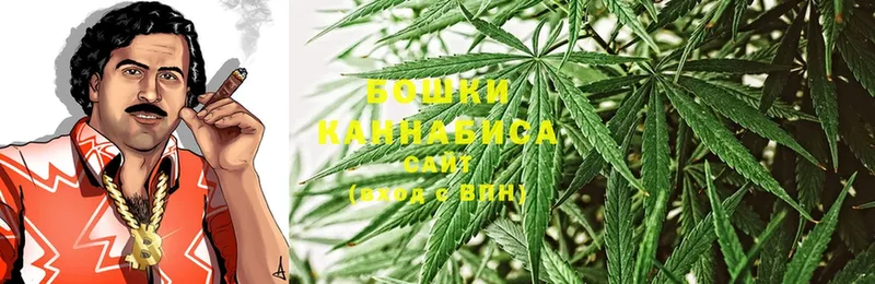 купить   Сухиничи  Бошки марихуана LSD WEED 